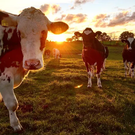 Cattle Barn - Leben Auf Dem Hof Lägenhet *